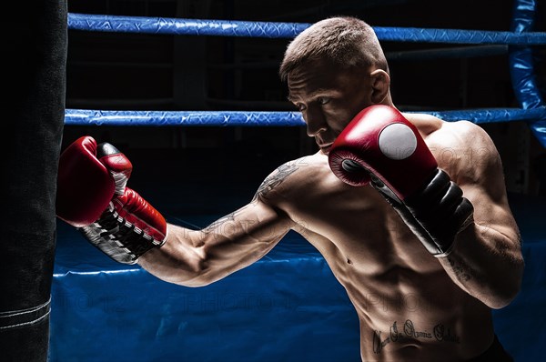 Professional boxer hits the bag against the background of the ring. Side view. The concept of sport and classic boxing.