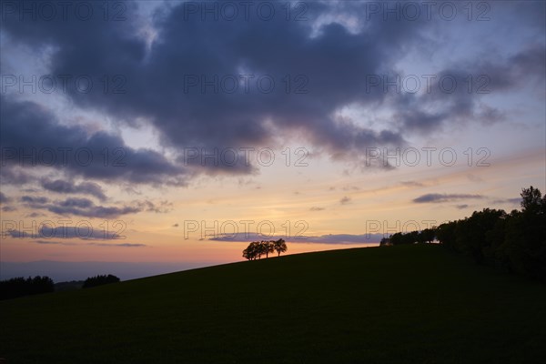 Wind beeches at sunset with cloudy sky in spring