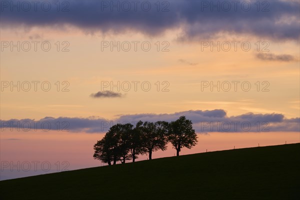 Wind beeches at sunset with cloudy sky in spring