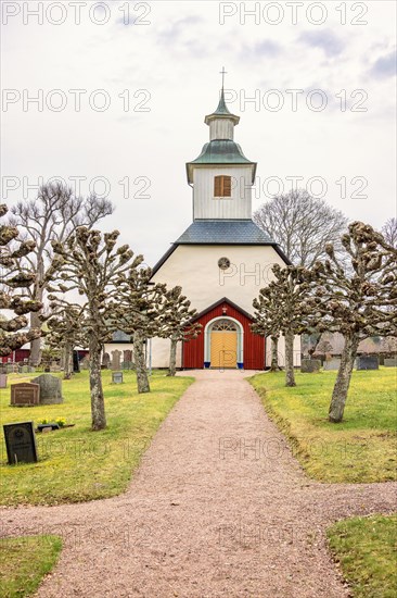 Gravel path on a graveyard to an idyllic church in the Swedish countryside with pollarded trees