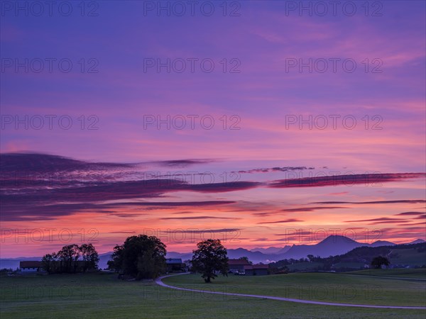 Dawn on the edge of the Alps