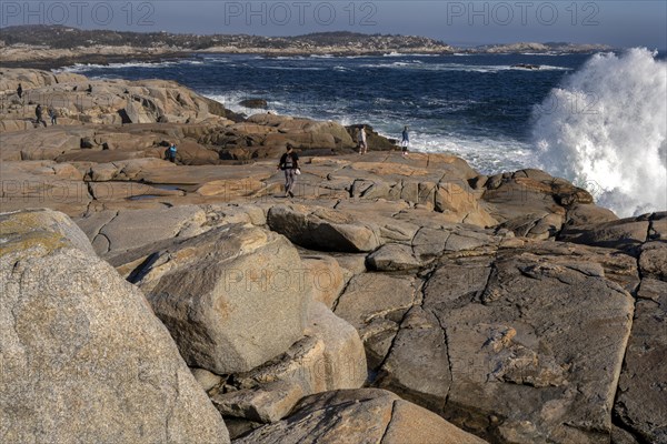 Peggys Cove wild coast Canada