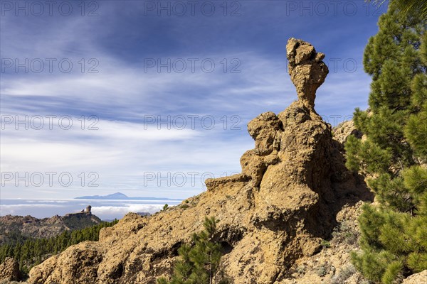 Mushroom rock