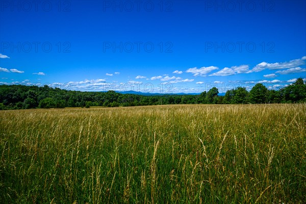 Grass fields in Shavangunk Ridge region