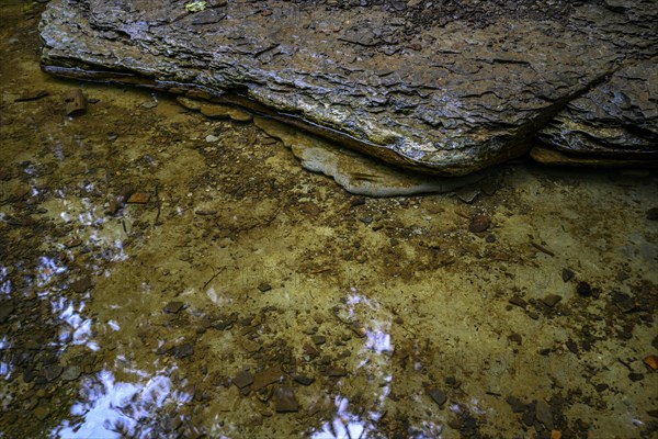 Chestnut Ridge Park Eternal Flame Falls Trail