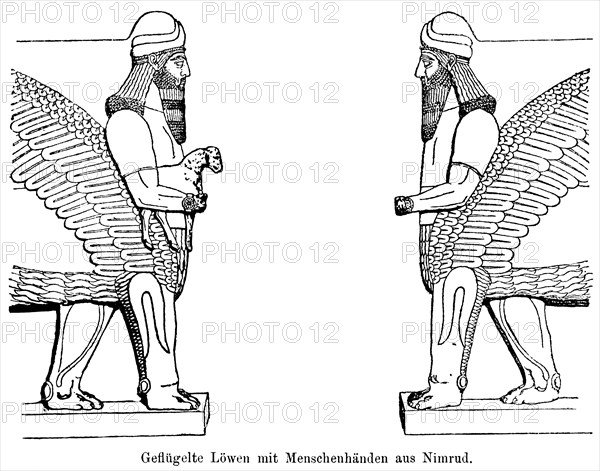 Two winged lions with human hands from Nimrud