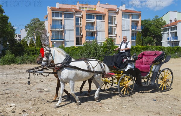 A white and a brown horse pulling a black and yellow carriage with a man in front of an urban background