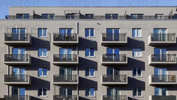 Newly built housing estate with rental flats by GESOBAU in the Stadtgut Hellersdorf neighbourhood