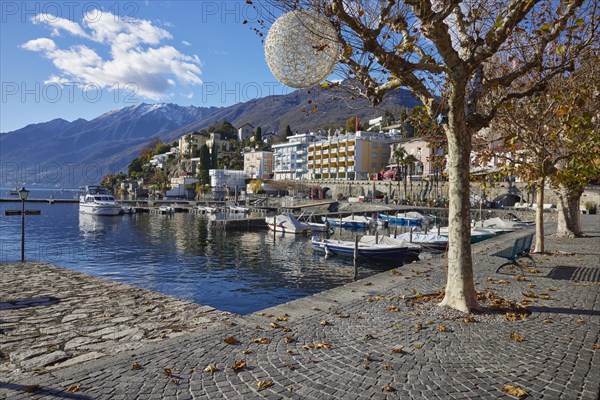 View of Lake Maggiore in the direction of Ronco sopra Ascona with motorboats and a plane tree