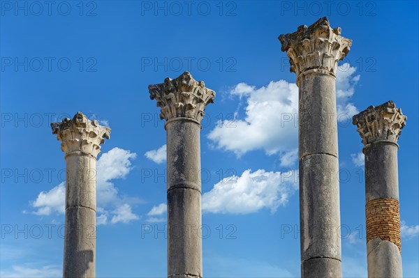 Corinthian columns of the Roman Capitoline Temple at Volubilis