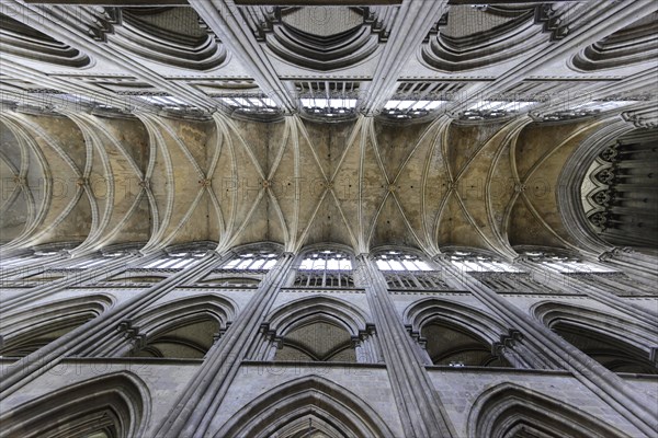 Ceiling view