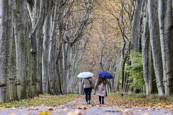 Autumn walk with umbrella in rainy weather