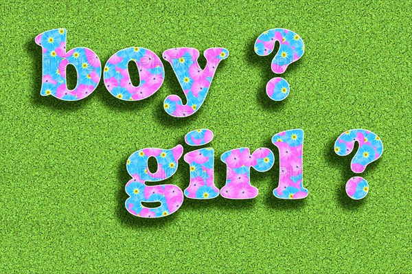 The English word boy for boy and girl for girl