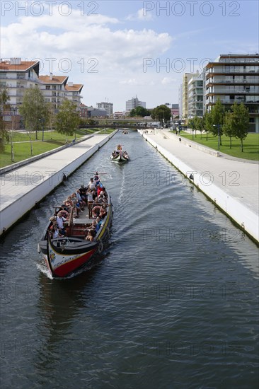 Moliceiro Boat