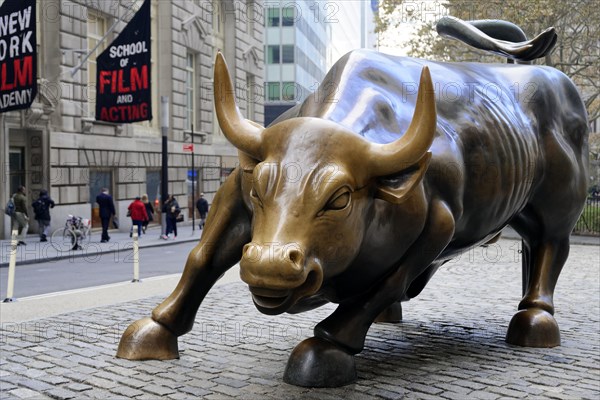 New York. Manhattan. Wall Street Bull