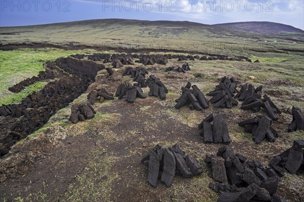 Peat extraction in bog