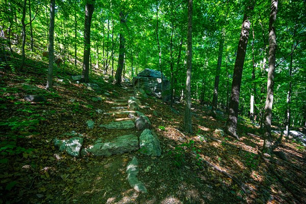 Mohonk Preserve