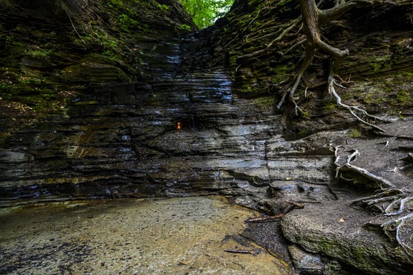 Chestnut Ridge Park Eternal Flame Falls Trail