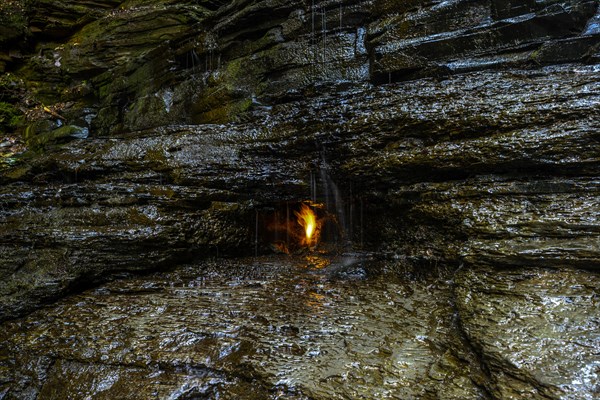 Chestnut Ridge Park Eternal Flame Falls Trail