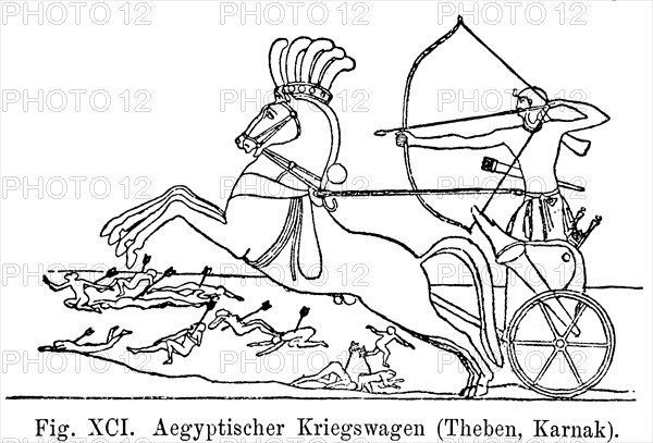 Egyptian war chariot