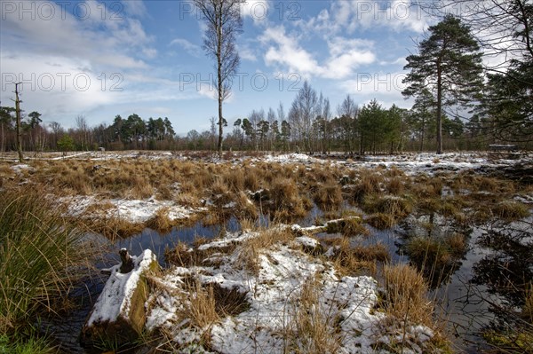 Snow-covered winter landscape in the Tister Bauernmoor nature reserve