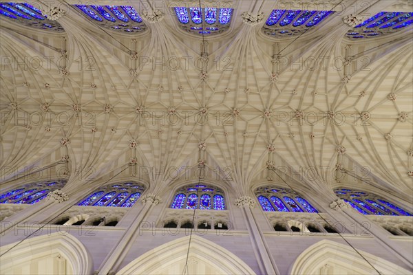 Vaulted ceiling