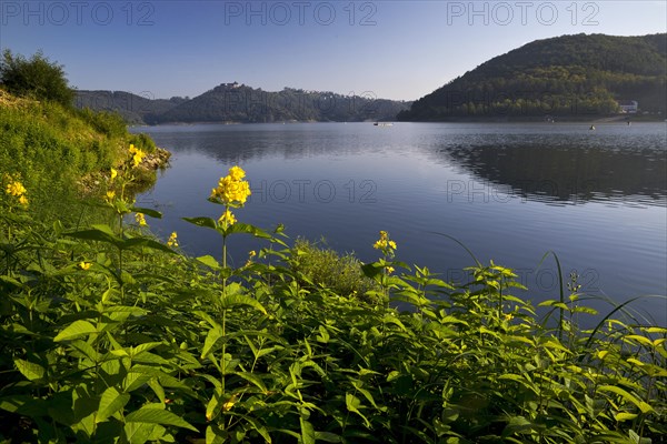 Lake Edersee with a view of Waldeck Castle