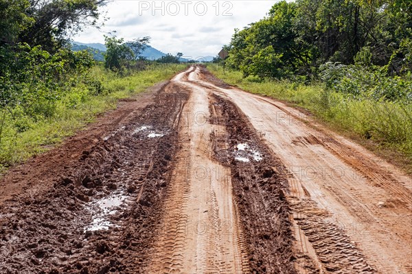 Muddy Linden-Lethem track