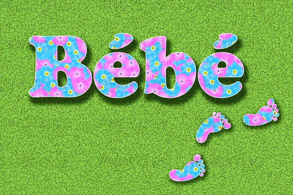 The French word Bebe for baby