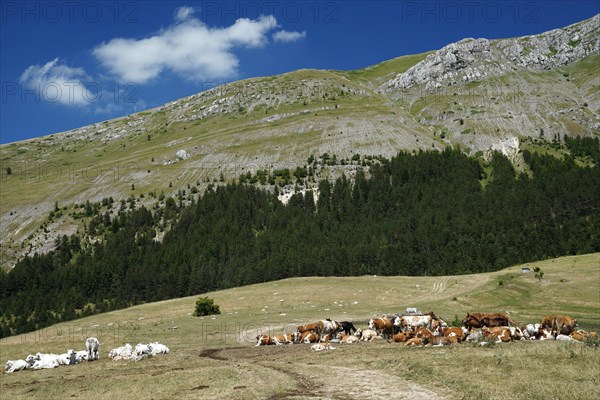 Gran Sasso and Monti della Laga National Park