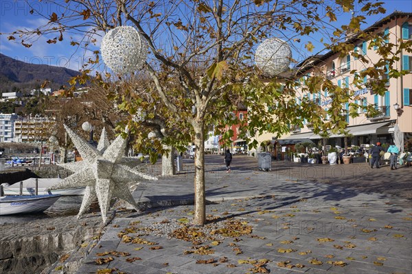 Plane trees