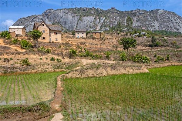 Betsileo rural village on hillside and rice fields in the Haute Matsiatra Region