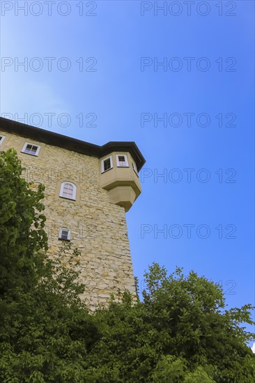 Detail of Teck Castle