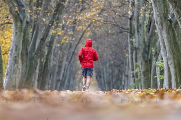 Outdoor activity in autumn weather