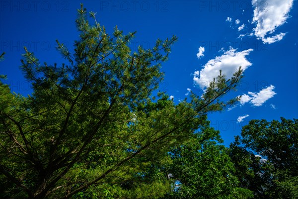 Mohonk Preserve