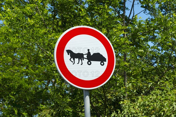 A traffic sign shows the ban on horse-drawn carriages on a blue sky and green foliage background