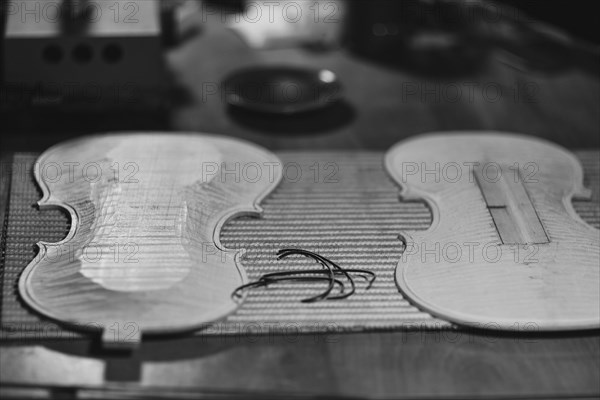 Front and back plates of new raw handmade classic violin on a workbench in violinmaker artisan workshop and purfling fillet made of evony and ivory or pear wood ready to be inserted in the carved all around the shape for aesthetic touch and prevent cracking