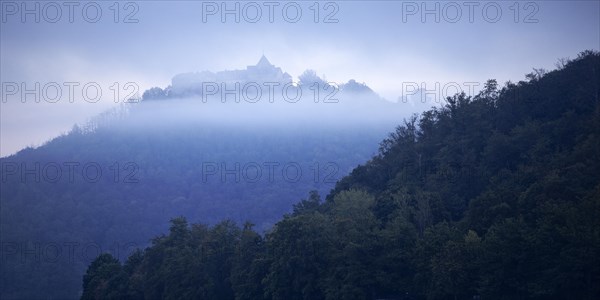 View of Waldeck Castle in the morning mist