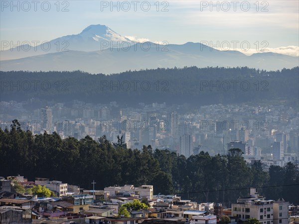 Houses of Quito