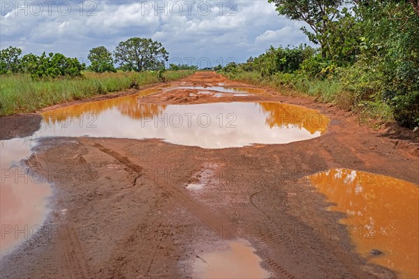 Large rain puddles in red mud of the Linden-Lethem dirt road linking Lethem and Georgetown in the rainy season