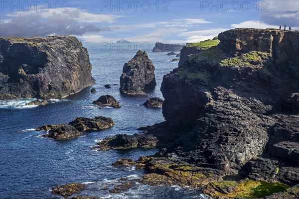 Sea stacks and sea cliffs at Eshaness