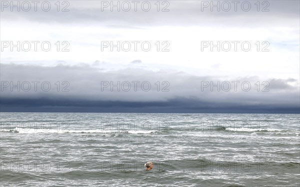 A woman swimming in the North Sea