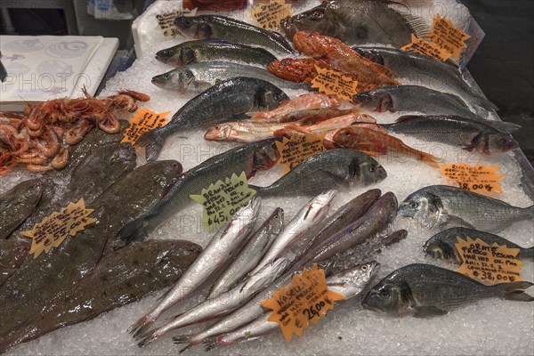 Fresh fish on ice at a fish stall in the large market hall