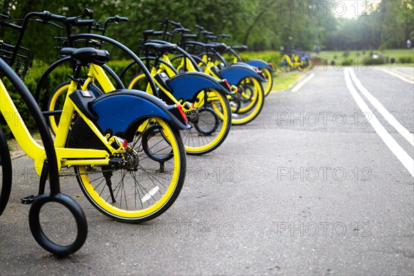 Parking rental yellow bicycles in the city park
