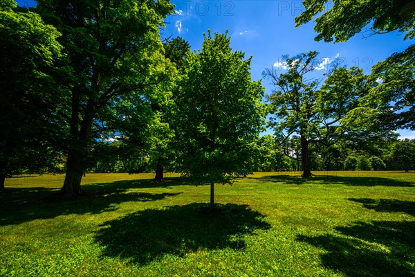 Vanderbilt Mansion National Historic Site