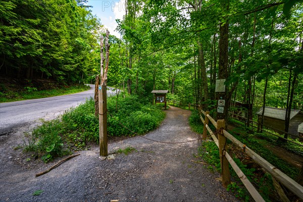 Platte Clove Preserve in the Catskills Mountains