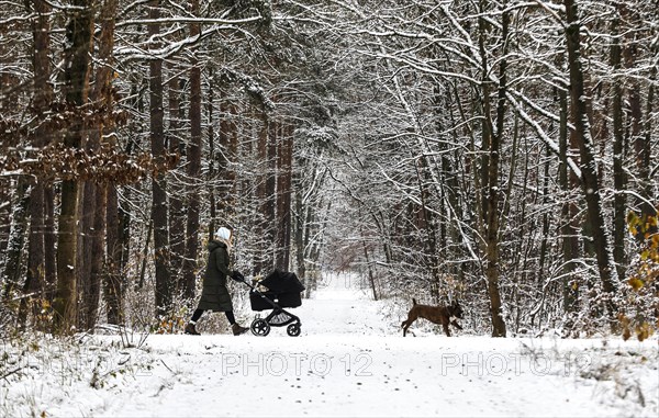 Woman with pram and dog walking along snowy paths in Grunewald