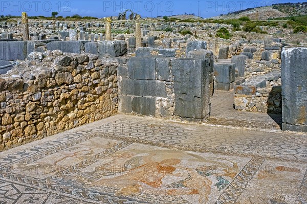 Roman mosaic showing abduction of Hylas in the House of Venus at Volubilis