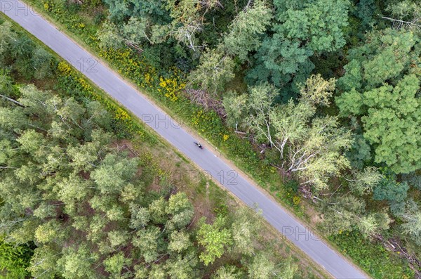 Aerial view of cyclists on the Wall Trail in Berlin Marienfelde. The Wall Trail marks the course of the former GDR border fortifications to West Berlin