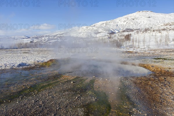 Geothermal area of Geysir in the Haukadalur valley